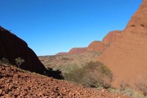 Uluru & Kata Tjuta-059